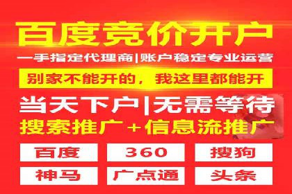 案例分析：竞价推广实战中的困境与突破